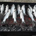 Lasta