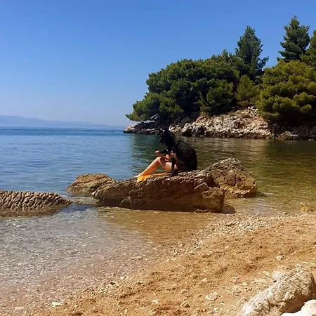 Lasta Drašnice