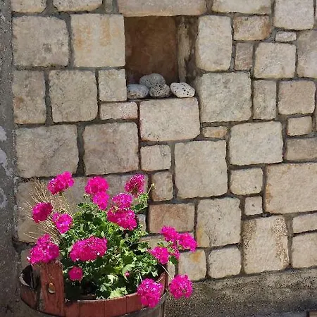 Lasta Drašnice